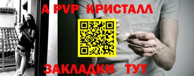 прущие грибы Краснознаменск