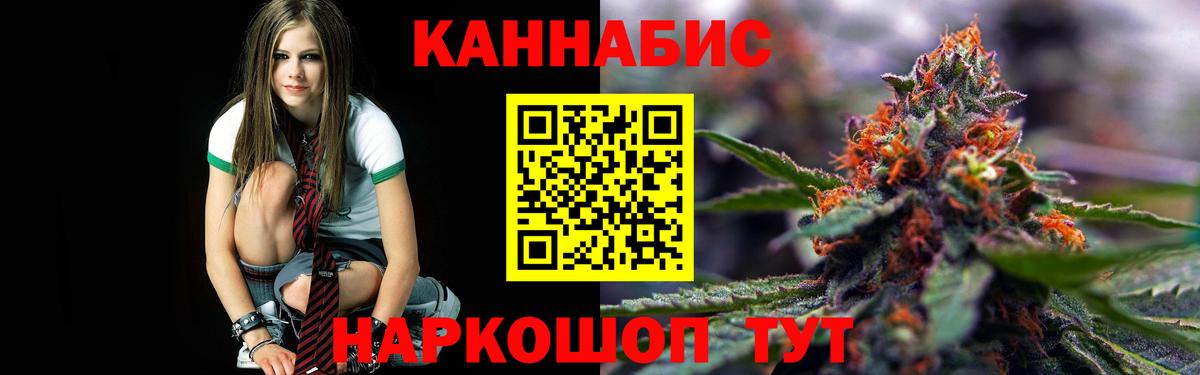 Бошки Шишки OG Kush  Бошки марихуана планчик  Вход с VPN  Узловая  Каннабис тримм 